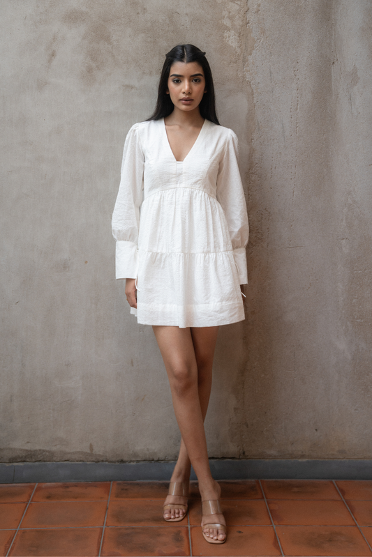 Fern Mini Dress